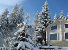 Шепіт лісу, casa per le vacanze a Lazeshchyna
