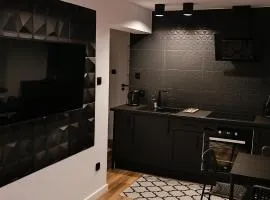 Apartamenty Obidowa