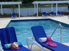 Natty’s Cozy Beach house in Hanover Jamaica