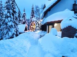 Uki & Sofi mountain house, hotel in Kopaonik