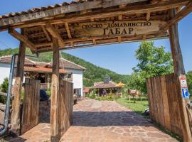 Seosko domaćinstvo „GABAR”, villa in Ćuštica