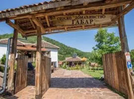 Seosko domaćinstvo „GABAR”