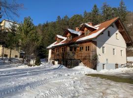 House Alpine Rose, hotel v Mojstrani