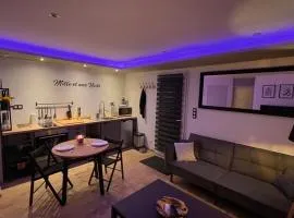 Mille et une nuit, appartement classé 3 étoiles en RDC avec exterieur et parking