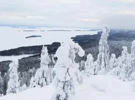 Kolin Kolo - Saunallinen kaksio