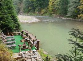 Зарінок карпат, hotel in Mykulychyn