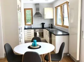 Exklusive Ferienwohnung m. Terrasse, ruhig gelegen