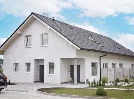 Zielona Dolina 2020