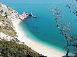 Tobacco Road camping Sirolo, campsite in Sirolo