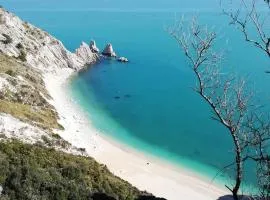 Tobacco Road camping Sirolo