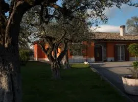Al Chiaro di Luna
