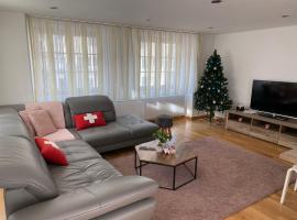 Haus Wiggis, apartmán v destinaci Netstal