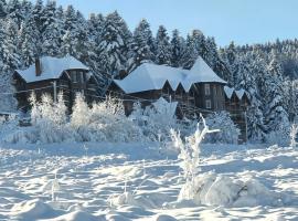 Viesnīca Pid Lisom pilsētā Shidņica