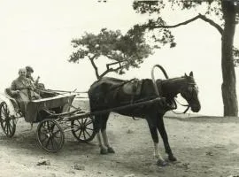 Orhan Kutbayin Evi、ブユカダのビーチ周辺のバケーションレンタル
