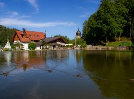 Self-check-in Ferienwohnungen & Apartments am Bergsee โรงแรมโรแมนติกในทรีแบร์ก