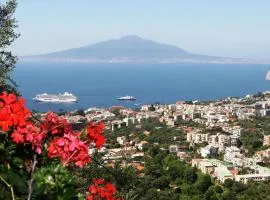 Casarufolo Paradise