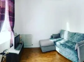 Logement 8 personnes à St Aignan centre