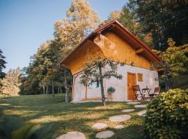 Sleeping with bees - Tourist farm Muha, feriebolig i Grosuplje