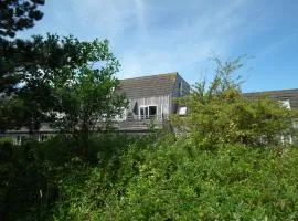 Hollumerduinen