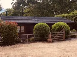 The Granary Cabin, Near Horsham