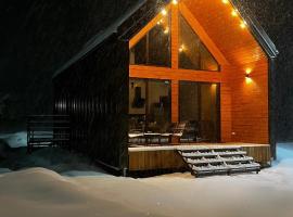 Barn S&S House, casa rústica em Mykulychyn