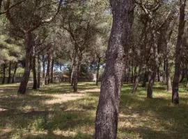Villetta La Pineta by BarbarHouse