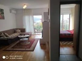 AGA Apartman Podgorica
