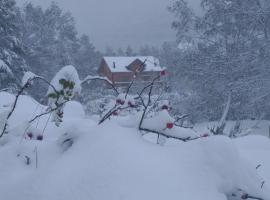 Chalet bois au milieu des Pyrénées，約斯皮塔萊普雷朗多爾的木屋