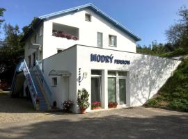 Modrý Pension – pensjonat w mieście Mladá Boleslav
