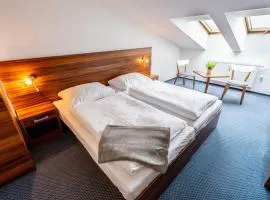 WELLNESS HOTEL FRYMBURK APARTMAN 502C