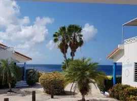 Marazul Apartment F1