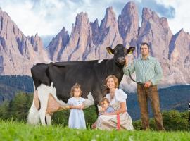 Agriturismo Kabishof, farm stay in Funes