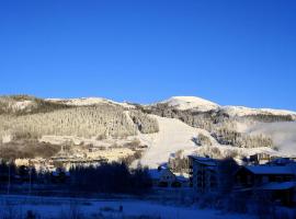 Ski Hotell, hotel v destinaci Duved