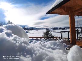 Góralski domek z bali SAŁAS，位于扎布的酒店