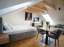 Beskidzka9 & Free Sauna，位于什切尔克的酒店