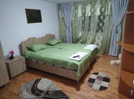 Casa Leny, Hotel in Călăraşi