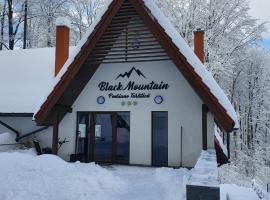 Pensiunea Black Mountain, отель в городе Бая-Сприе
