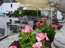 Hotel am Pfahl, hotel v destinaci Viechtach