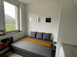 Sympathique petit Studio à la frontière du Luxembourg, apartment in Knutange