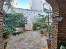 Apartamentos en Patio Cordobés San Basilio