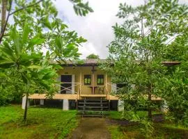 JenJon Wood County Phansad Alibaug