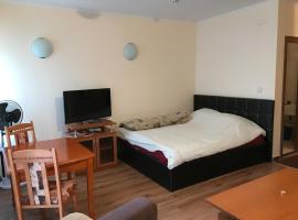 Ski Zone at Gondola, Perfect, Fast WiFi, Quiet, Warm: Bansko'da bir otel