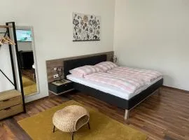 Gesamte Unterkunft in Zentrumsnähe