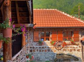 Apartment Old House: Podgorica, Lake Bukumirsko yakınında bir otel
