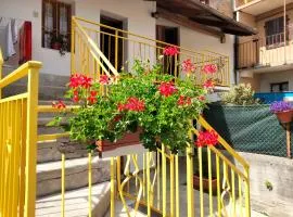 B&B LA MARMOTTA