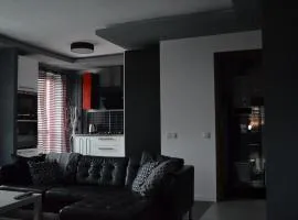 Apartment City Center - Free Parking - easy check-in