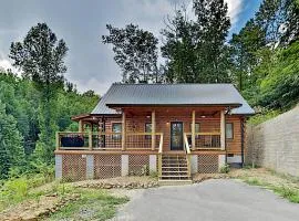 Mountain Wolf's Cabin