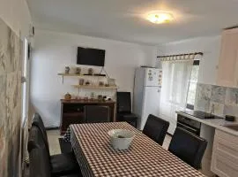 Vila Andrei