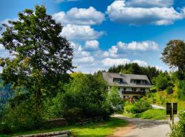 Landhaus Valentin, landsted i Triberg