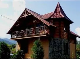 Vodoliy